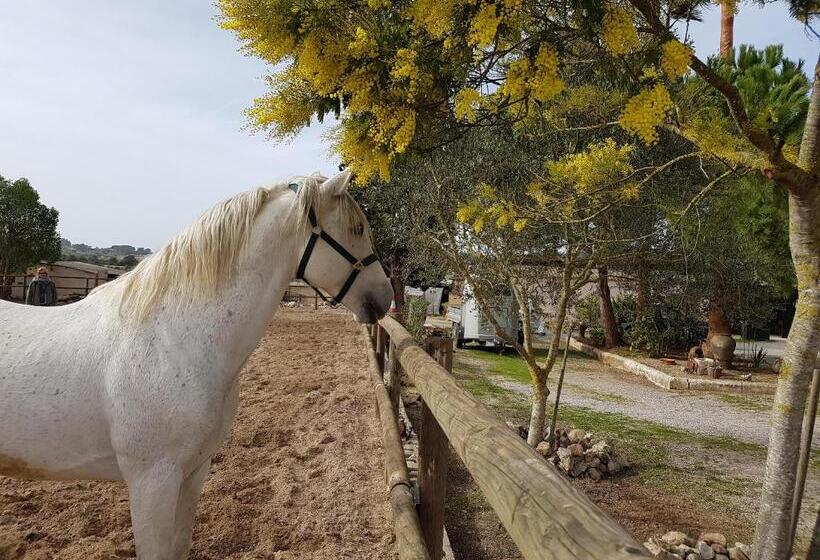 ペンション Finca Caballo Blanco