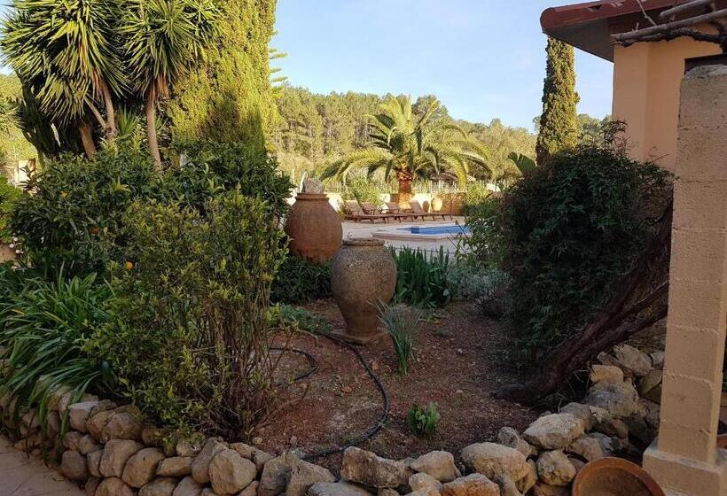 ペンション Finca Caballo Blanco