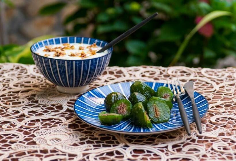 بنسيون Grancharova Guest House