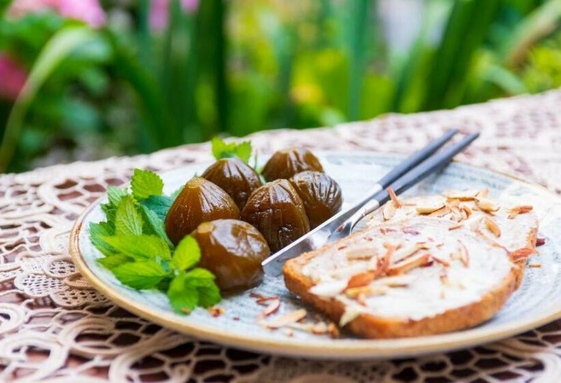 بنسيون Grancharova Guest House