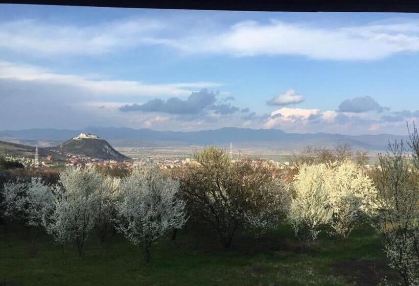 膳宿费 Hanu Lu Mos Opinca