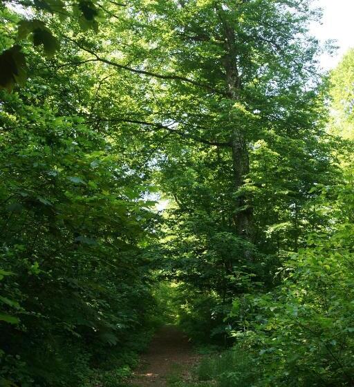 פנסיון Karuna Haus