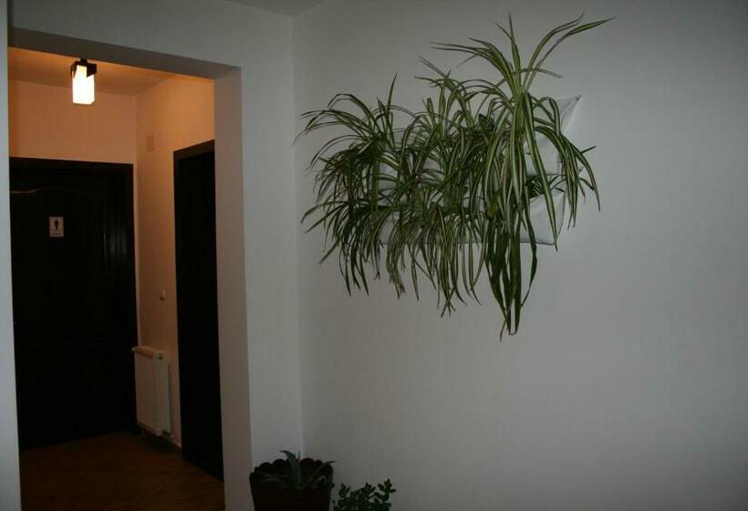 ペンション , La Moara