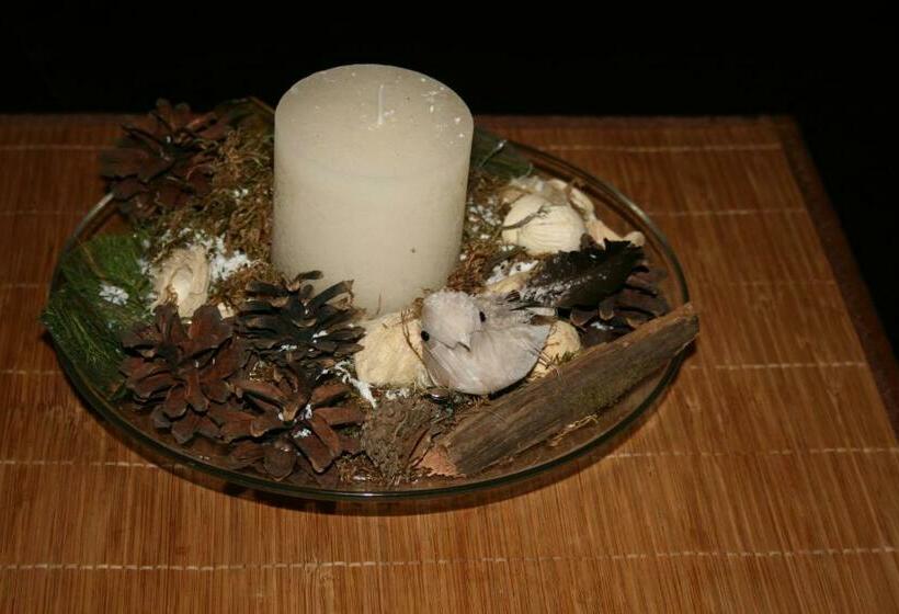 ペンション , La Moara