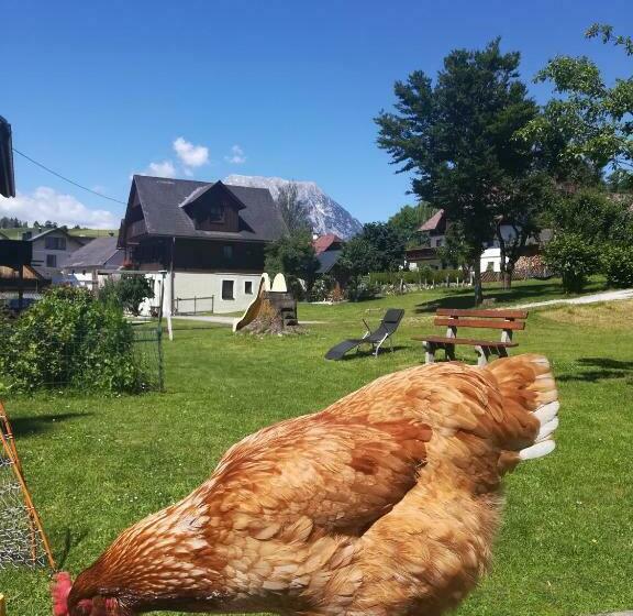 פנסיון Lasserhof