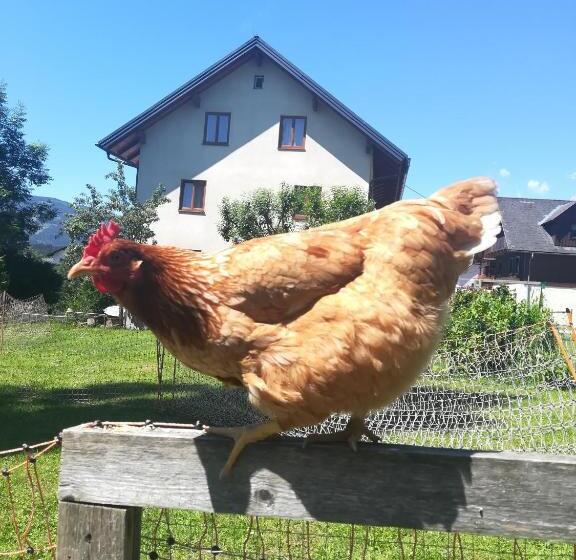 פנסיון Lasserhof