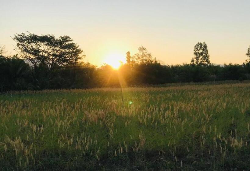 ペンション Panutsaya Homestay