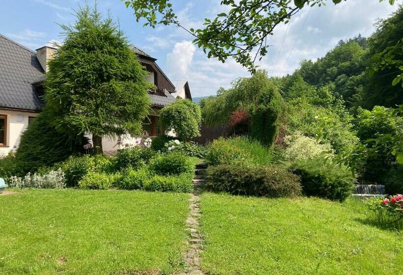 פנסיון Penzion Beskyd