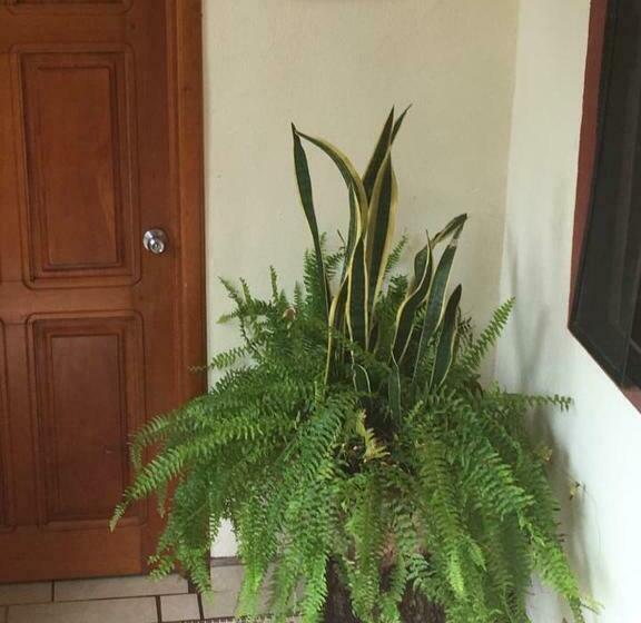 פנסיון Posada Familiar El Dorado