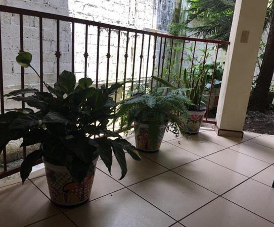 ペンション Posada Familiar El Dorado