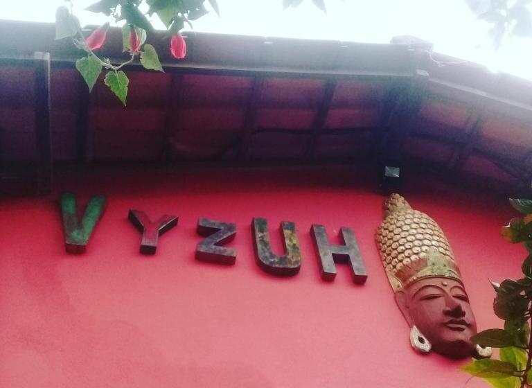 פנסיון Vyzuh