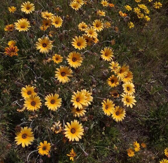 Rarangi Seaview On The Beach B&b