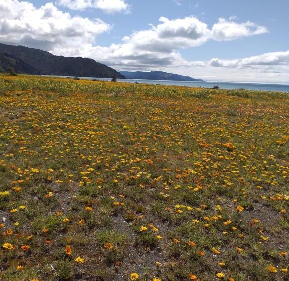 Rarangi Seaview On The Beach B&b