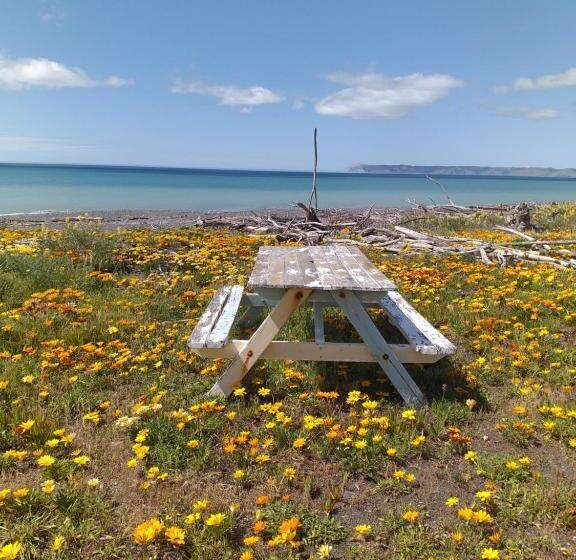 Rarangi Seaview On The Beach B&b