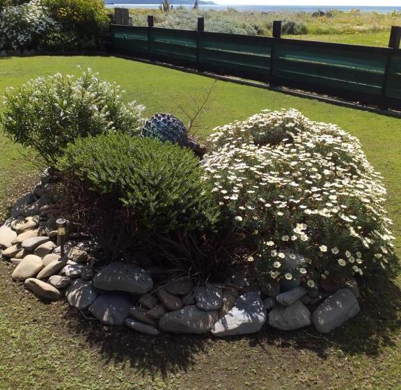 Rarangi Seaview On The Beach B&b