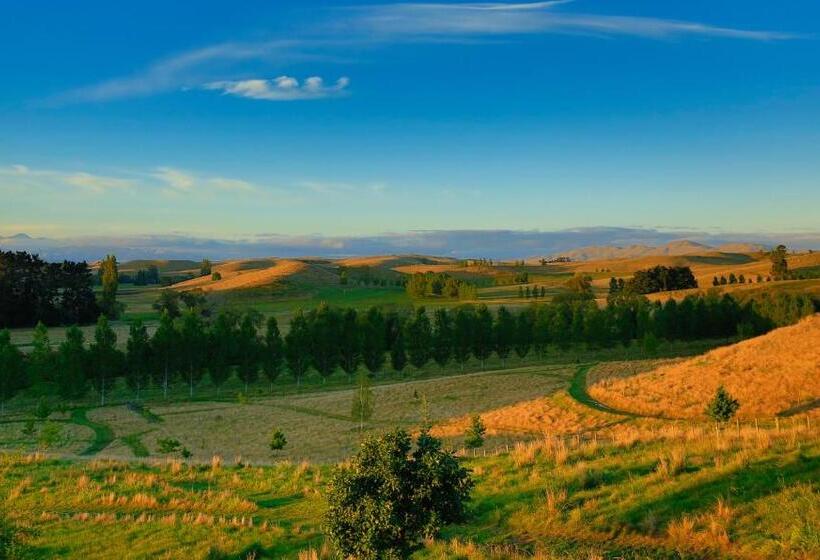 Tree House Lodge Bed & Breakfast