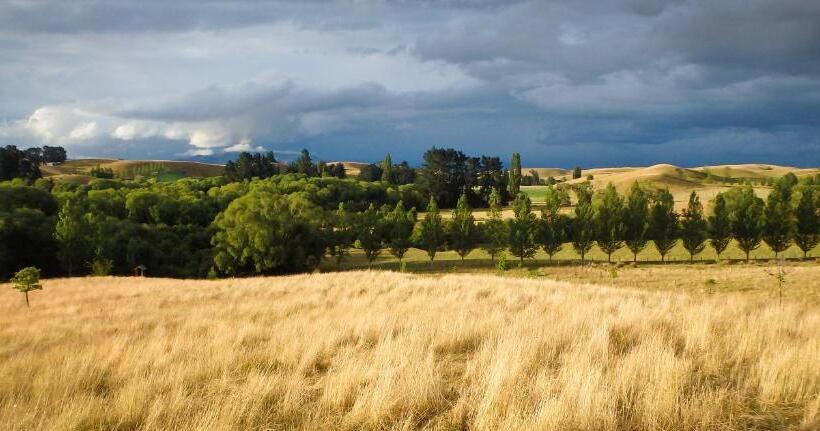 Tree House Lodge Bed & Breakfast