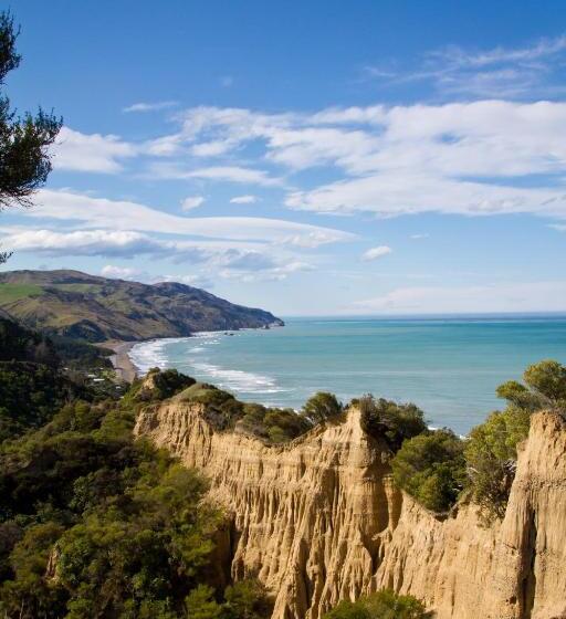 Tree House Lodge Bed & Breakfast