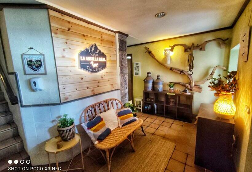 ユースホステル Refugio La Ardilla Real