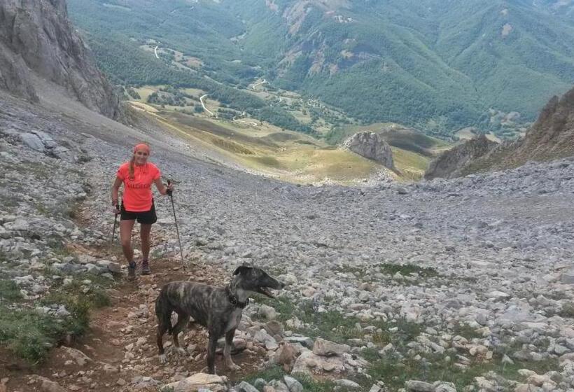 ユースホステル Refugio La Ardilla Real