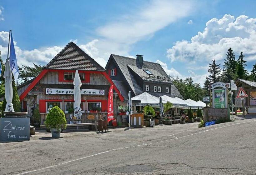 فندق صغير Zur Grossen Tanne