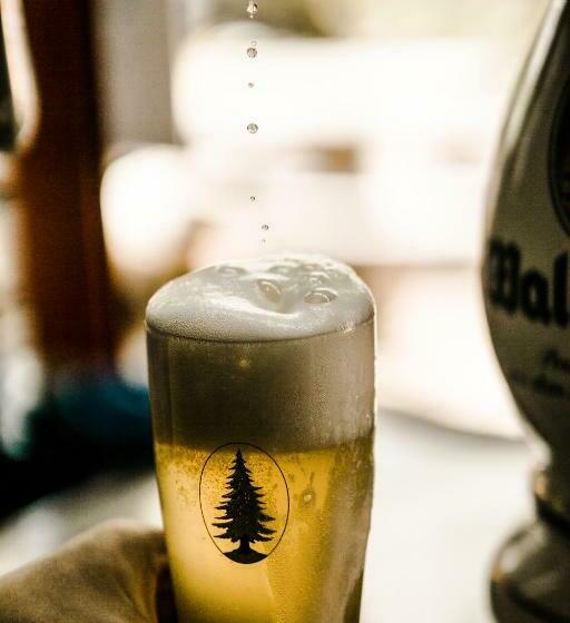 فندق صغير Zur Grossen Tanne