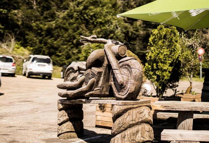 فندق صغير Zur Grossen Tanne