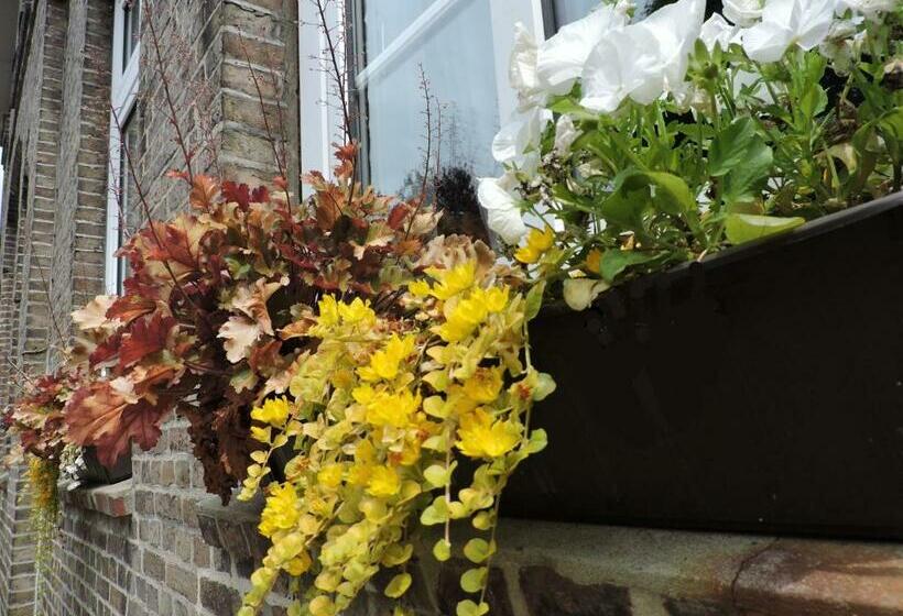 مبيت وإفطار Altes Pastorat