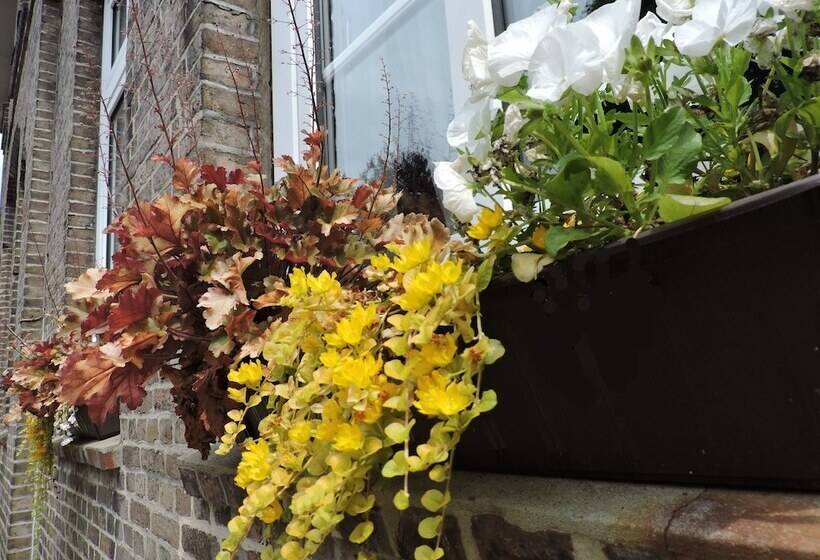 住宿加早餐  Altes Pastorat