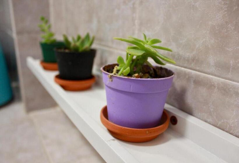 ベッドアンドブレックファースト Biancocancello