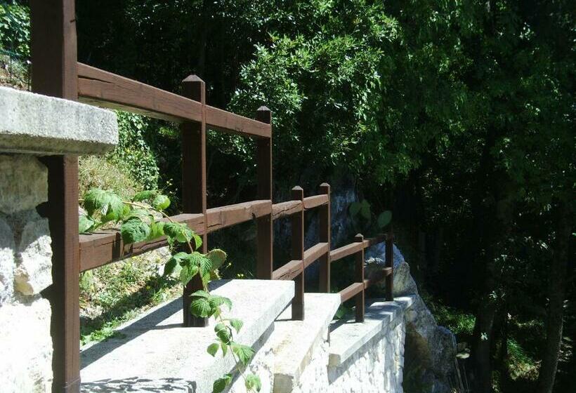 Bed and Breakfast Casa Lieta