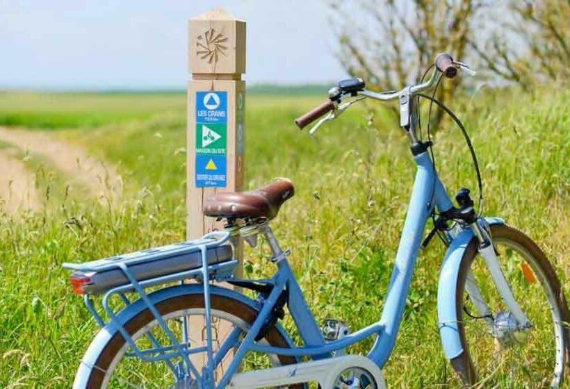 צימר Chambres D Hôtes Les Pins