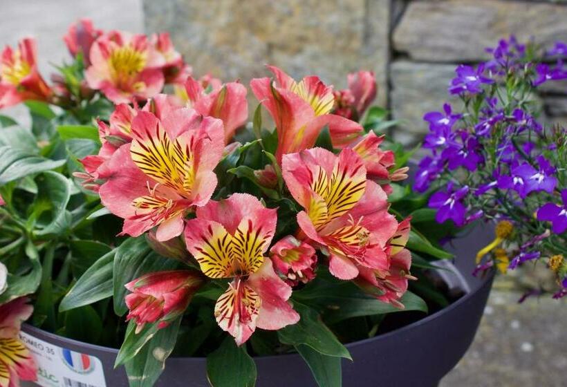 مبيت وإفطار Cuas A  Gamhna