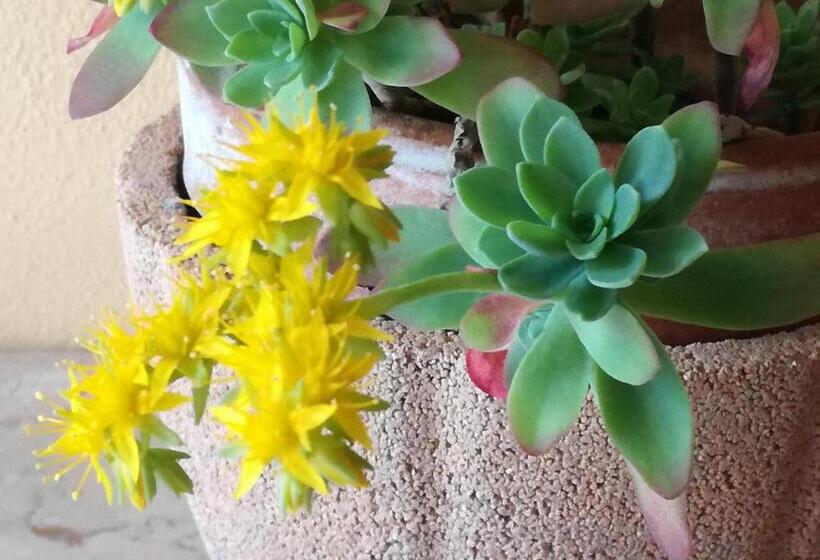 Bed And Breakfast Da Pio