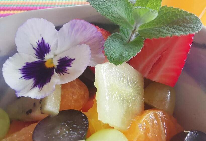 ベッドアンドブレックファースト Eloff Guest House And Gallery