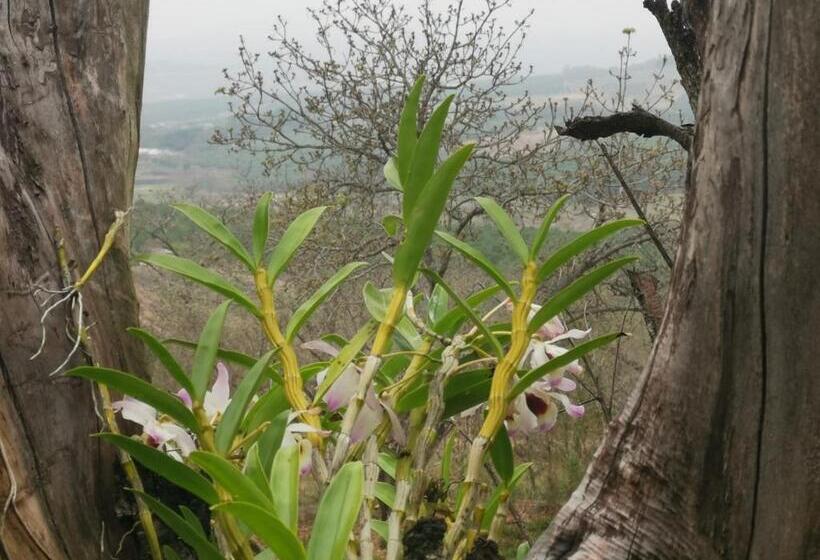 ベッドアンドブレックファースト Eloff Guest House And Gallery