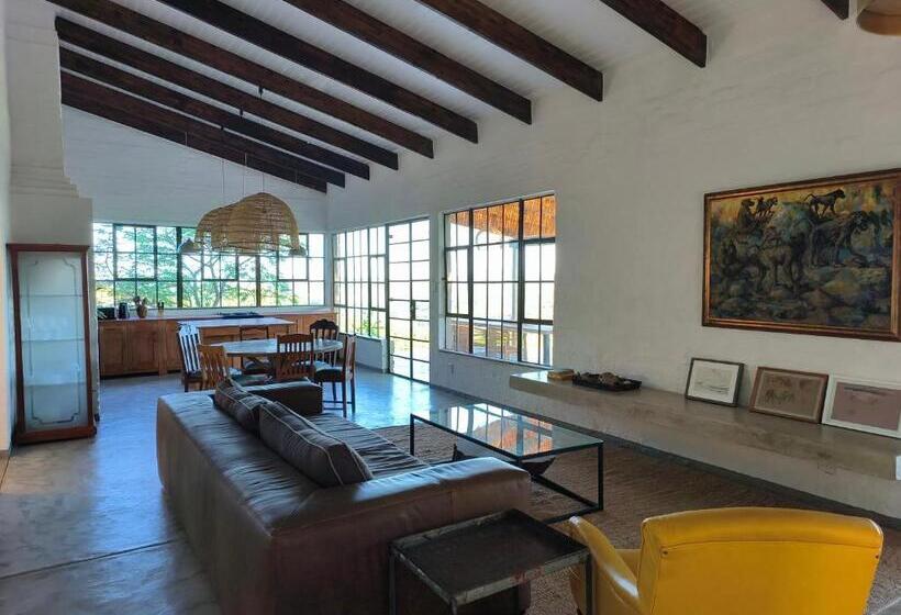 ベッドアンドブレックファースト Eloff Guest House And Gallery