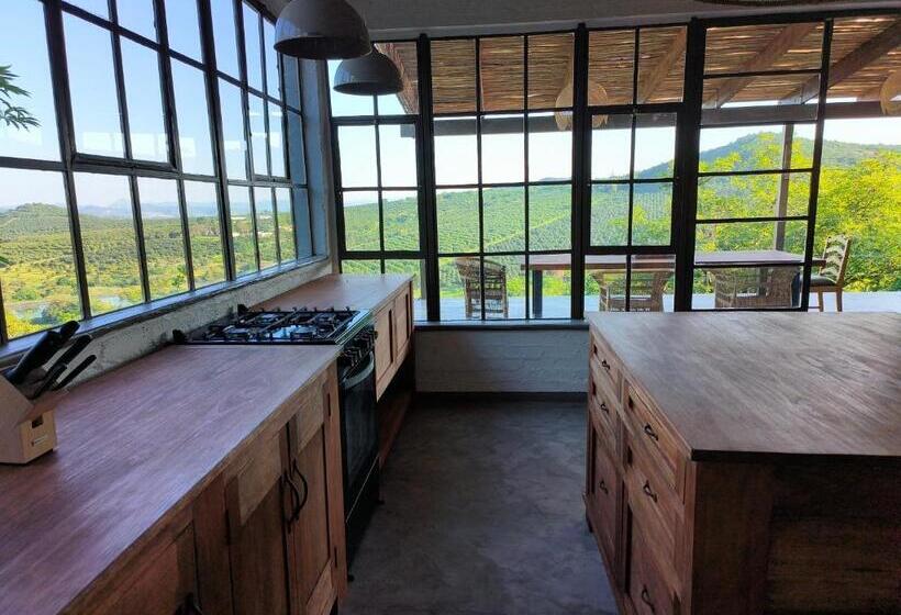 ベッドアンドブレックファースト Eloff Guest House And Gallery