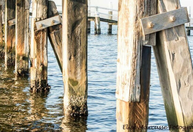 Bed and Breakfast Hoeve Hofwijk