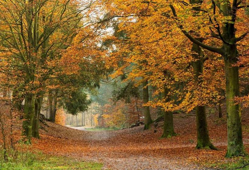 مبيت وإفطار La Grange 28