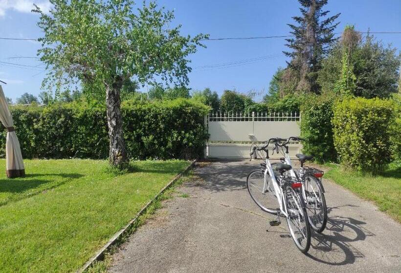 ベッドアンドブレックファースト La Mimosa Chic