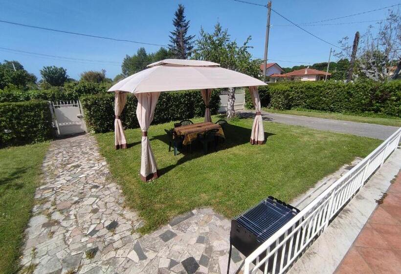 ベッドアンドブレックファースト La Mimosa Chic