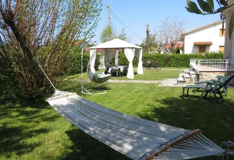 ベッドアンドブレックファースト La Mimosa Chic