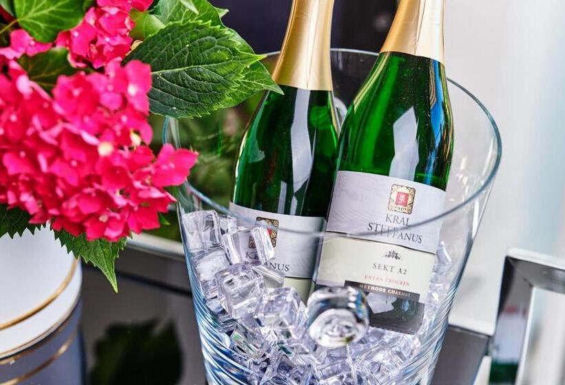 住宿加早餐  Pension Kral