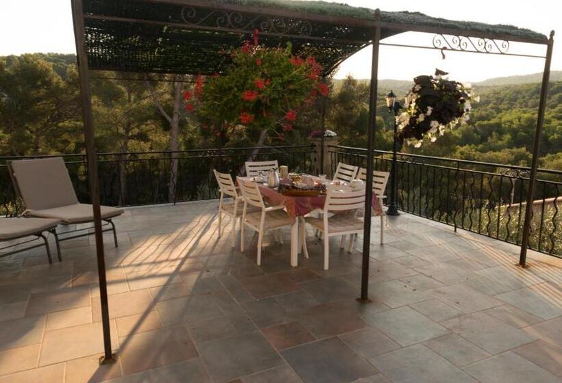 Bed and Breakfast Villa Violette