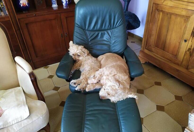 Bed and Breakfast Villa Violette