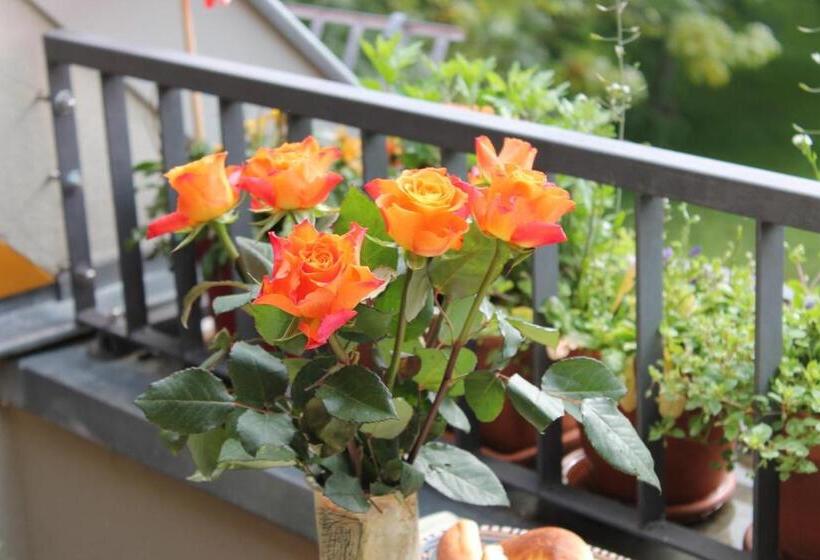 Bio Hotel Kipperquelle