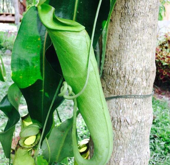 Gardenhomeresortkohjum