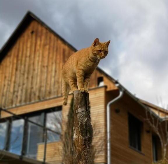 هتل Bauernhof Kure