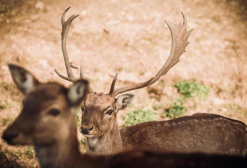 هتل Bauernhof Kure